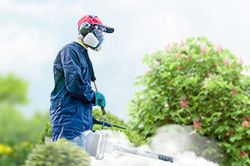 Обработка сада от паразитов - необходимые меры и их регулярность  в Таганроге